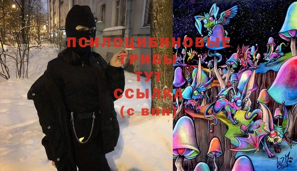 МДПВ Арсеньев