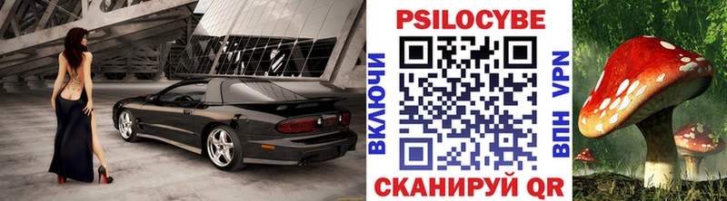 Галлюциногенные грибы GOLDEN TEACHER  купить наркоту  Ирбит 